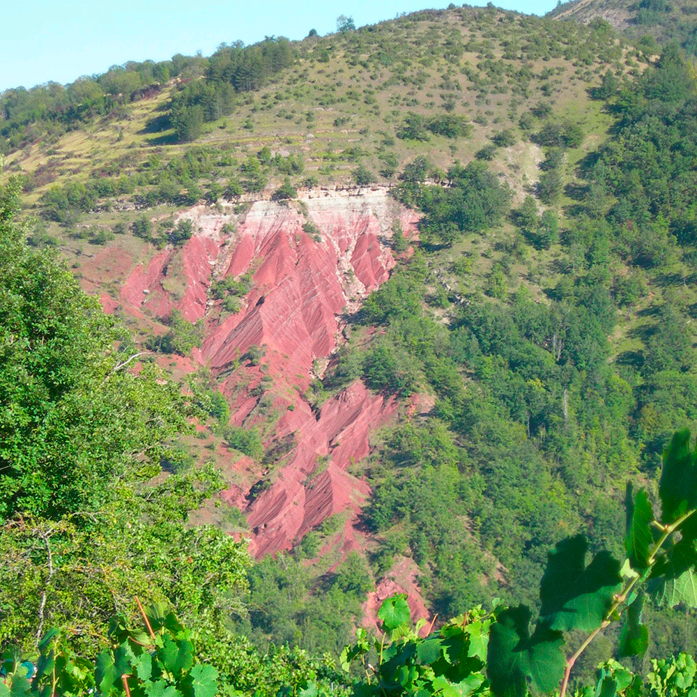 vignoble-coteaux-argile-rouge